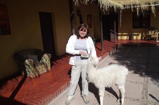 פוטרה Pachamama Hostel & Tour מראה חיצוני תמונה