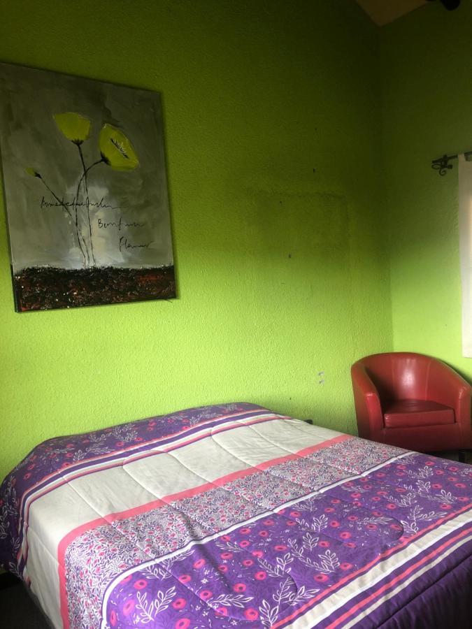 פוטרה Pachamama Hostel & Tour מראה חיצוני תמונה